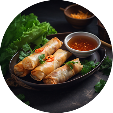 Spring Roll